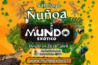 MUNDO EXOTICO VUELVE A ÑUÑOA - Animales
