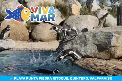 Acuario Viva Mar - Familiares