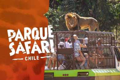 Parque Safari - Zoológico Rancagua - Panoramas con niños