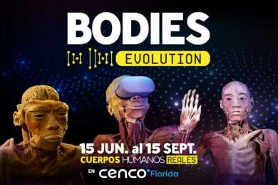 Bodies Evolution - Panoramas con niños